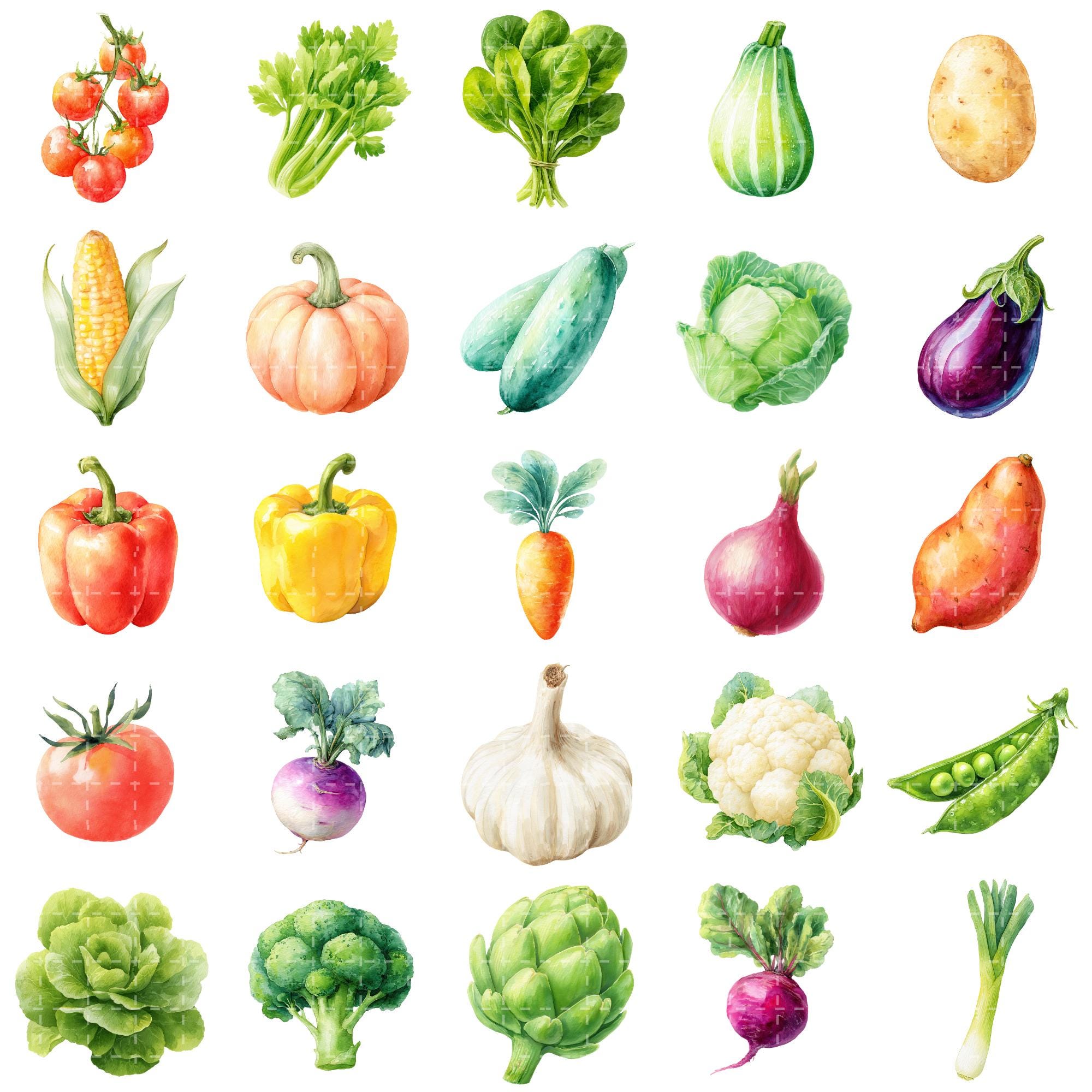 Watercolor Fruit and Vegetable Clipart Bundle, Garden Produce PNG Set ...