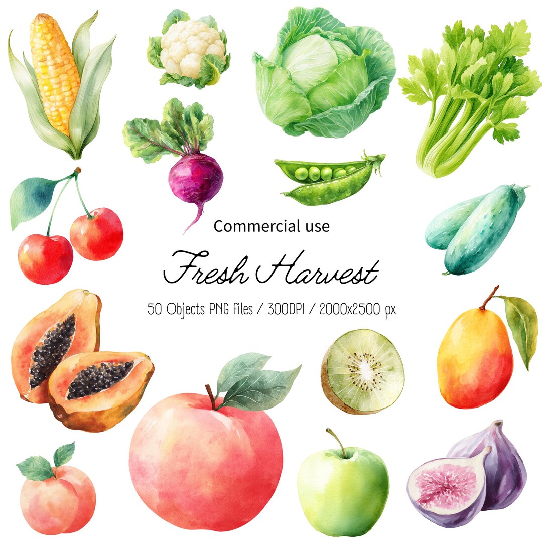 Watercolor Fruit and Vegetable Clipart Bundle, Garden Produce PNG Set ...