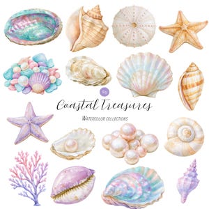 Op de afbeelding: Een verzameling aquarelillustraties met diverse schelpen, zeesterren, parels en koraal. De tekst luidt 63 Coastal Treasures Watercolor Collections. De items vertonen iriserende, roze, paarse en bruine tinten in een set.