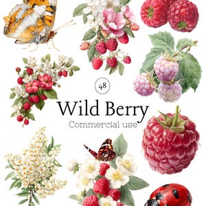 Puede incluir: Ilustración en acuarela con una variedad de bayas silvestres, flores, mariposas y una mariquita. La imagen incluye frambuesas rojas maduras, flores blancas y rosas, y una mariposa con alas naranjas y blancas. Texto: "Wild Berry".