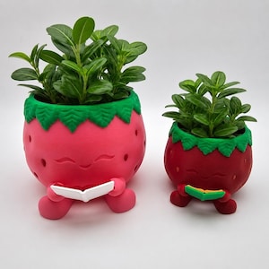 Peut inclure: Deux cache-pots en forme de fraise avec des sommets feuillus verts et de petits pieds. Le plus grand pot rose tient un livre ouvert blanc, tandis que le plus petit pot rouge foncé tient un livre ouvert vert et jaune. Ils contiennent des plantes.