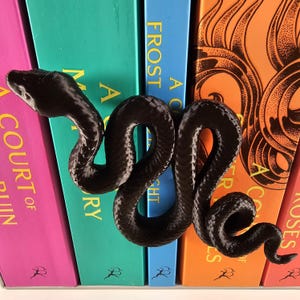 May include: A black snake-shaped bookend rests against a row of colorful books. The bookend is detailed with scales and curves, adding a decorative touch to the bookshelf. The books have titles in gold lettering.