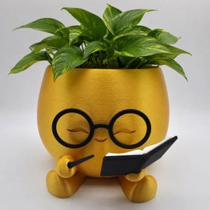 May include: A golden yellow planter shaped like a character wearing black round glasses, holding a black book in one hand and a black pen in the other. A green and yellow variegated pothos plant grows out of the top of the round, textured container.