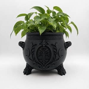 Fantasy Cauldron, Gothic Planter, Tree Pot, Indoor Decor, Reader Gift