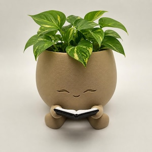 May include: A tan-colored, egg-shaped planter with a smiling face design, holding a small black book. The planter is filled with a vibrant green plant with yellow variegation. The planter has a textured surface.