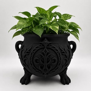 May include: A matte black cauldron-shaped planter with three clawed feet and two side handles. The exterior features embossed vine patterns and a central circular emblem with crescent moon motifs. A green and white variegated pothos plant sits inside.