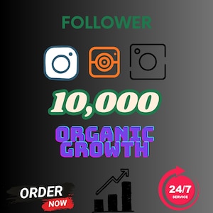 Instagram-Wachstumsleitfaden – 10.000 Follower gewinnen & deine Werbestrategie optimieren – Nischenstrategie – Content-Kalender