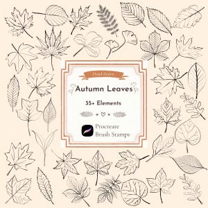 Può includere: Una collezione di illustrazioni di foglie disegnate a mano in bianco e nero disposte attorno a una cornice rettangolare centrale contenente il testo: Hand drawn, Autumn Leaves, 35+ Elements, e Procreate Brush Stamps con una piccola icona.