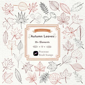 May include: A collection of hand-drawn leaf illustrations in black and red ink outlines. A central rectangular frame contains the text: Hand drawn, Autumn Leaves, 35+ Elements, and Procreate Brush Stamps, featuring various botanical shapes.