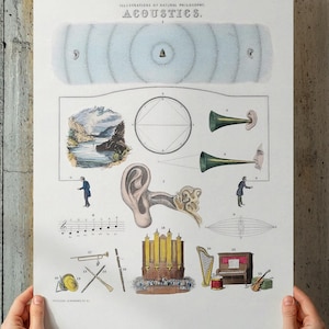 Vintage Acoustics Chart Poster: Sound Waves Science Diagram, Audiophile Music Room Art (Digital Download)