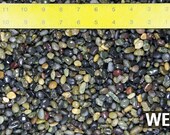 Free Shipping 3 Lbs Beach Pebbles for Bonsai Tree Humidity Tray and Lucky Bamboo