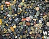 Free Shipping 3 Lbs Large Beach Pebbles for Bonsai Tree Humidity Tray and Lucky Bamboo