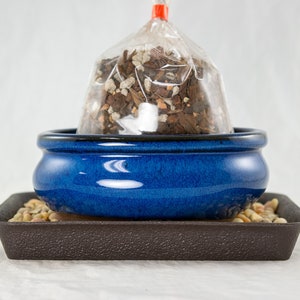 May include: A blue ceramic pot with a clear plastic bag filled with potting soil inside. The pot is sitting on a brown plastic tray with small stones.
