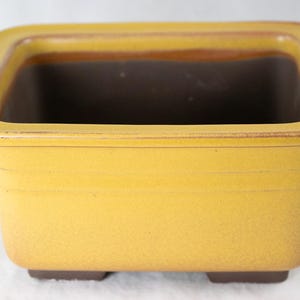 May include: A yellow ceramic rectangular bonsai pot with a brown interior and four small feet.