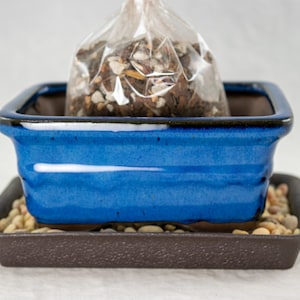 Yubonzai 6&quot; Rectangular Shohin Bonsai Pot, Cactus & Succulent Planter + Soil + Tray + Rock + Mesh Kit - Blue/Green