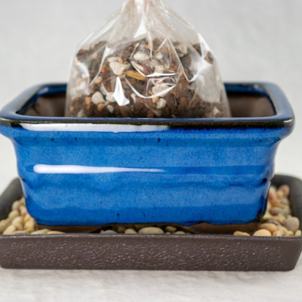 Free Shipping 6" Rectangular Shohin Bonsai Pot, Cactus & Succulent Planter + Soil + Tray + Rock + Mesh Kit - Blue/Green