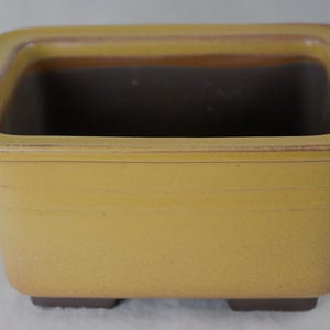 May include: A rectangular ceramic planter with a mustard yellow exterior glaze and a wide, flat rim. The interior and the base of the pot are finished in a dark brown, unglazed clay texture. The sides feature subtle horizontal recessed lines.