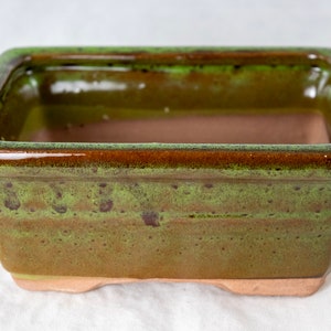 May include: A square green glazed ceramic bonsai pot with a brown rim. The pot has a textured surface and a slightly raised base.