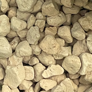 Genuine Japanese Large Hyuga Pumice for Orchid & Bonsai Tree Soil Mix - ( 12mm～25mm ) Grain