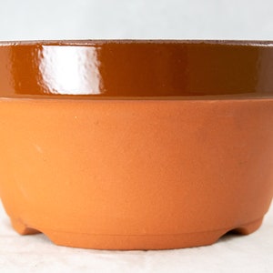 May include: A terracotta flower pot with a brown glazed rim. The pot has a flared lip and a rounded base with drainage holes.