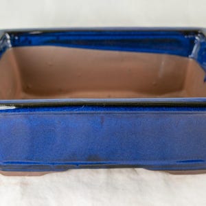 May include: A blue ceramic bonsai pot with a dark blue rim. The pot is rectangular with rounded corners and a slightly flared lip.