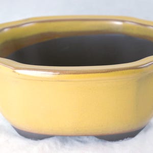 Yubonzai Japanese Yokkaichi Dull Mustard Oval Glazed Bonsai Pot, Cactus & Succulent Planter + Mesh 6.75" to 9.25"