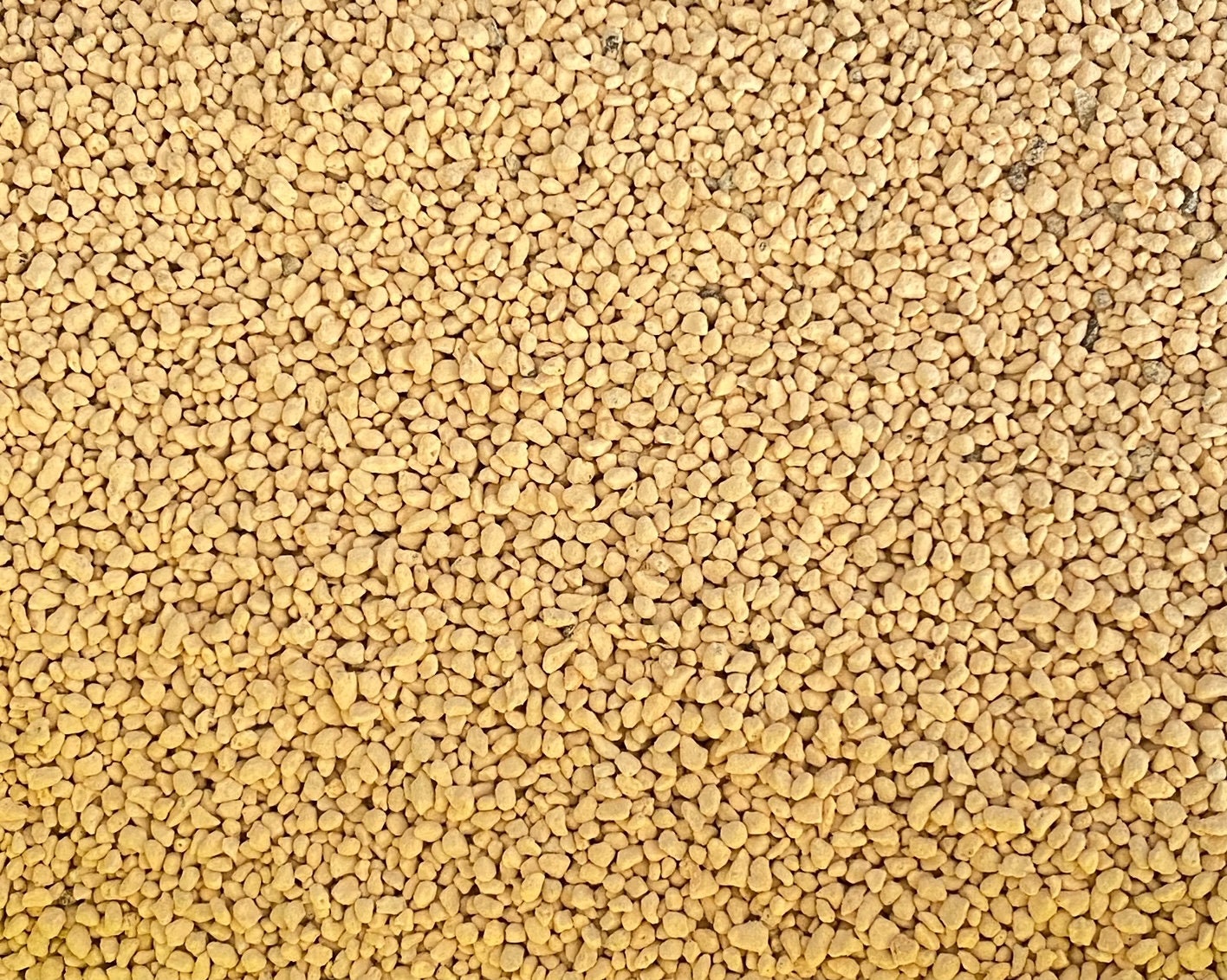 Genuine Japanese Shohin Kanuma for Acid Loving Plants & Bonsai Tree Soil Mix - Grain Size (2mm-3 mm)