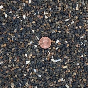 May include: A close-up of a collection of small, black, white, and brown pebbles. A penny is placed in the center of the image for scale.