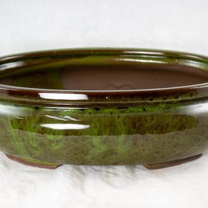 May include: A glazed ceramic bonsai pot with a rounded shape and a rich green and brown color. The pot has a glossy finish and a wide, shallow design, suitable for bonsai trees. The rim is a darker shade of brown.