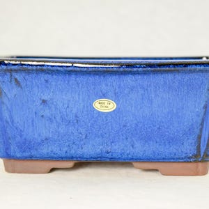 May include: A blue rectangular bonsai pot with a dark brown rim and a label that reads "Made in China".