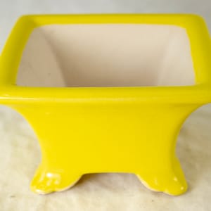 May include: A bright yellow ceramic square planter with four small feet. The planter has a white glazed interior.
