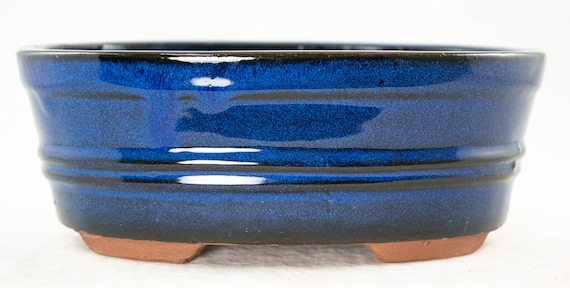Oval Shohin Bonsai Cactus & Succulent Pot 8"x 5.25"x 2.5" Dark Blue Stain 