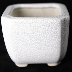 May include: A square ceramic planter featuring a white glaze with a prominent dark gray crackle pattern. The vessel has rounded corners, a wide opening, and small feet at the base, showcasing a distinct network of fine lines across the exterior surface.