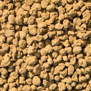 Genuine Japanese Large Grain Akadama for Cactus & Succulent, Bonsai Tree Soil Mix - Hard Ibaraki (10 mm - 18 mm)