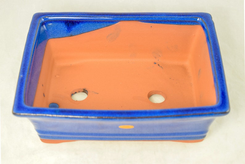 May include: A blue glazed rectangular bonsai pot with a terracotta interior. The pot has three drainage holes and a gold accent on the bottom.