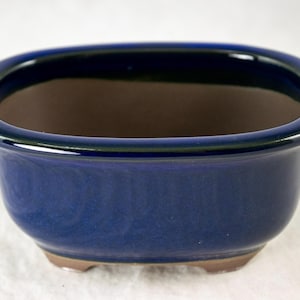 May include: A deep blue, oval-shaped ceramic bonsai pot. The pot has a glossy finish and a dark brown interior. The rim is slightly rounded, and the base has small feet. This container is designed for bonsai trees.