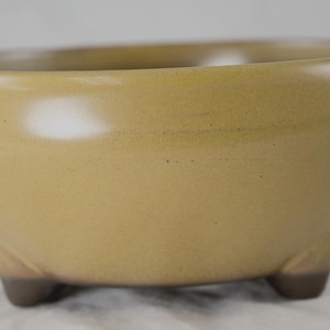 May include: A round, mustard-yellow ceramic bowl with a smooth, matte finish. The bowl features a wide, open top and is supported by three small, dark brown feet at the base. The exterior surface is uniform in color, showing a subtle transition to a darker tone near the bottom where the feet are attached.