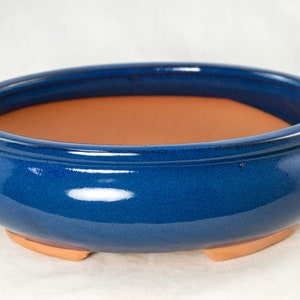 May include: A blue glazed oval ceramic bonsai pot with a terracotta rim and three feet.