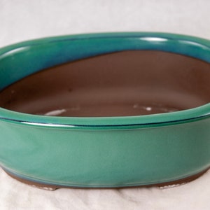 May include: A green oval ceramic bonsai pot with a brown interior. The pot has a dark blue rim and a glossy finish.