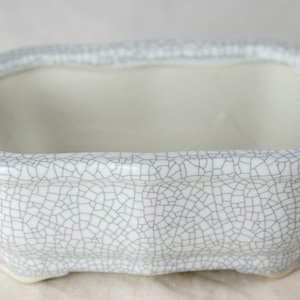 May include: White ceramic bonsai pot with a crackle glaze pattern. The pot has a rounded rectangular shape with a wide opening.