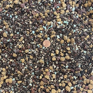 May include: Close-up of a soil mix for plants, featuring a variety of brown, red, and tan pebbles, along with small blue and white pieces. A US penny is placed on the soil for scale.