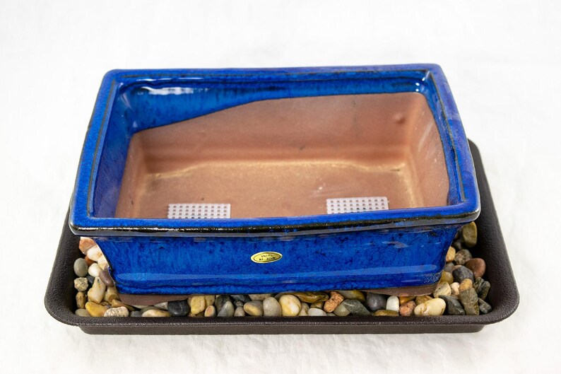 May include: A blue ceramic bonsai pot with a brown interior sits on a black plastic tray filled with small stones. The pot has two small white mesh screens inside.