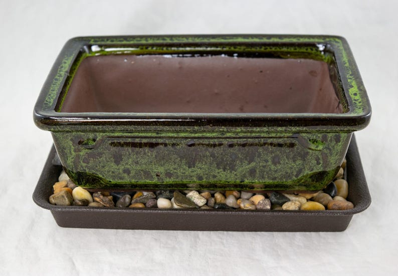 Yubonzai Rectangular Moss Green Glazed Bonsai Pot, Cactus & Succulent Planter 8"x 5.75"x 2.5" - Pot/Combo image 3