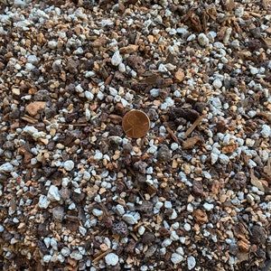 Cali-Bon Special Blend Cactus & Succulent Soil Mix with Coarse Sand, Pumice, Red Lava and Turface - Small Grain
