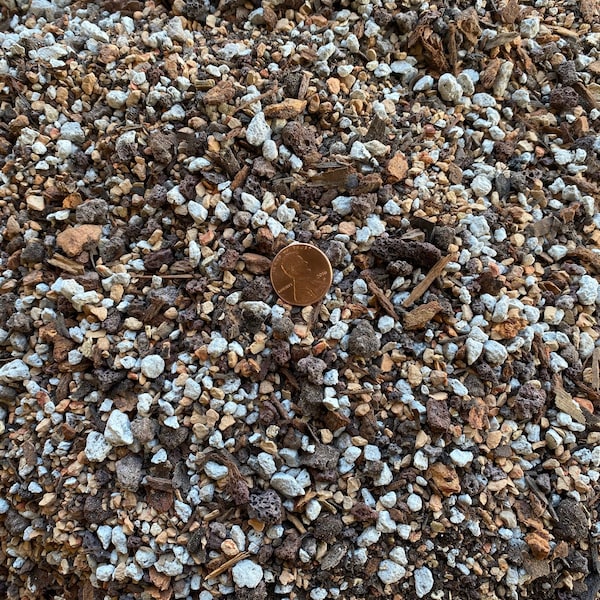Cali-Bon Special Blend Cactus & Succulent Soil Mix with Coarse Sand, Pumice, Red Lava and Turface - Small Grain