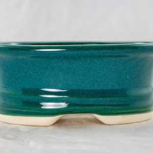 Yubonzai Oval Green Glazed Mame Shohin Bonsai Pot, Cactus & Succulent Planter with Mesh