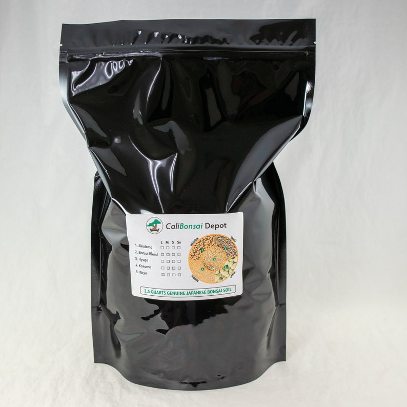 Calibonsai Hyuga Pumice - Thumbnail 2