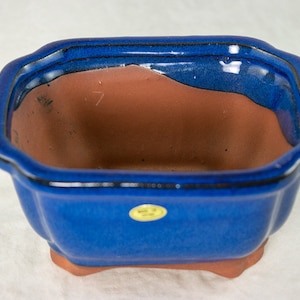 May include: A blue square bonsai pot with a brown clay interior. The pot has a glazed finish and a slightly raised rim.