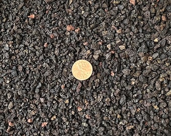 Cali-Bon Small Size 1/8"- 3/16" Horticultural Black Lava for Cactus & Succulent, Bonsai Tree Soil Mix.