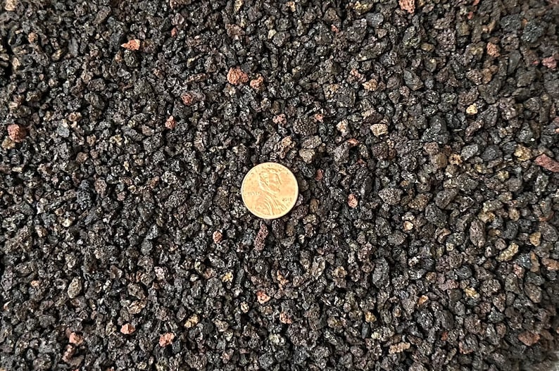 Calibonsai Horticultural Lava - Thumbnail 4